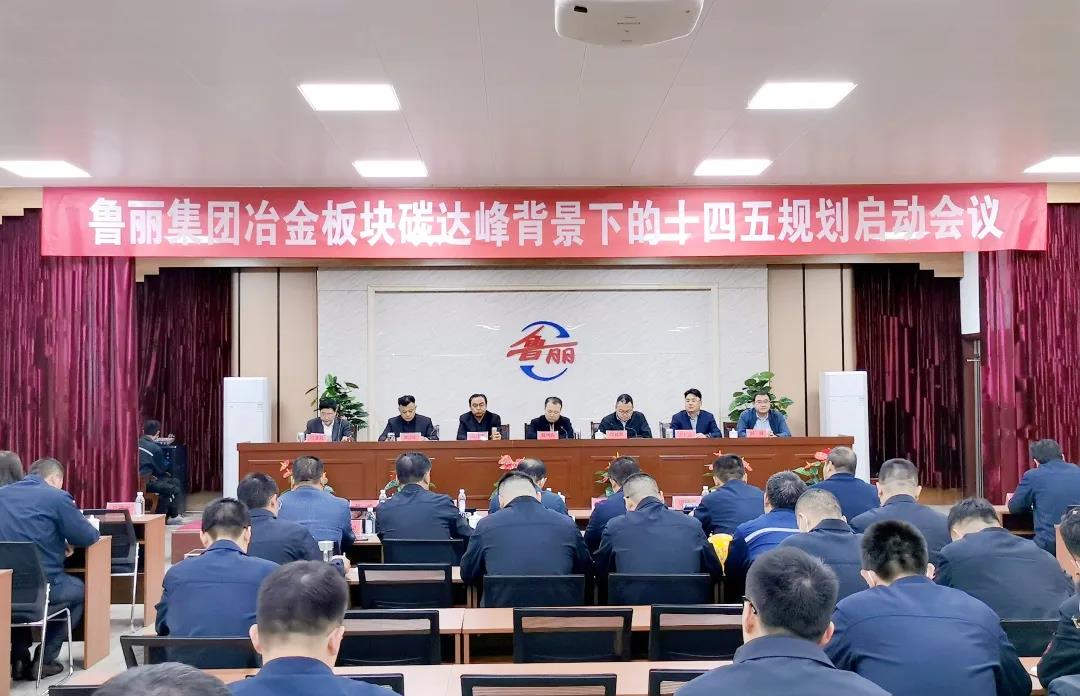 范铁军院长带队参加香港内部传真资料+图片冶金板块碳达峰背景下的“十四五”规划启动会议