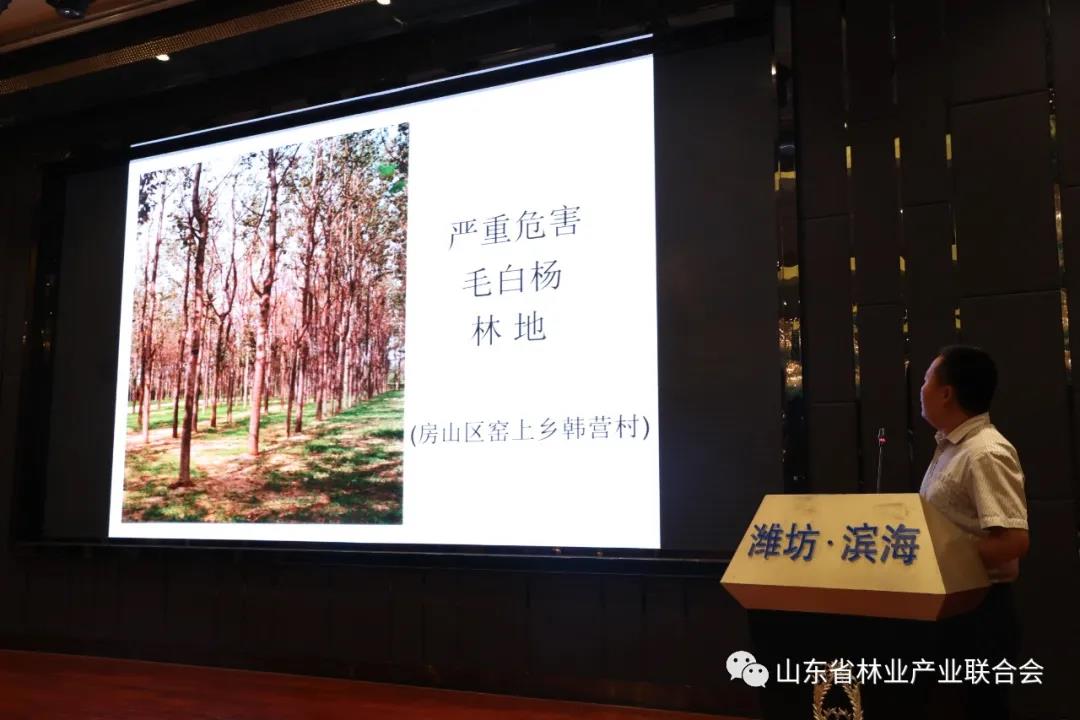 香港内部传真资料+图片
